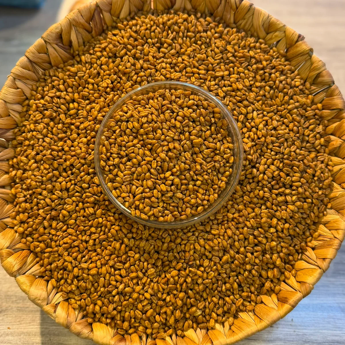 OSSA Buğday
